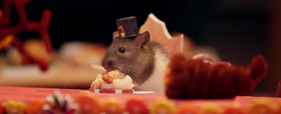 Hamster Eating Tiny Thanksgiving Dinner Video