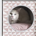 Finally! Ikea Heard Our Pleas For Pet Essentials That Look Cute and Don't Cost a Fortune