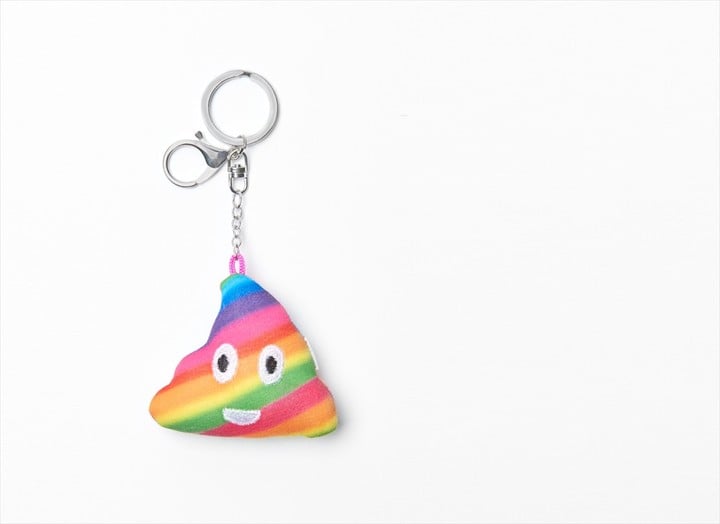 Rainbow Poop Emoji Keychain