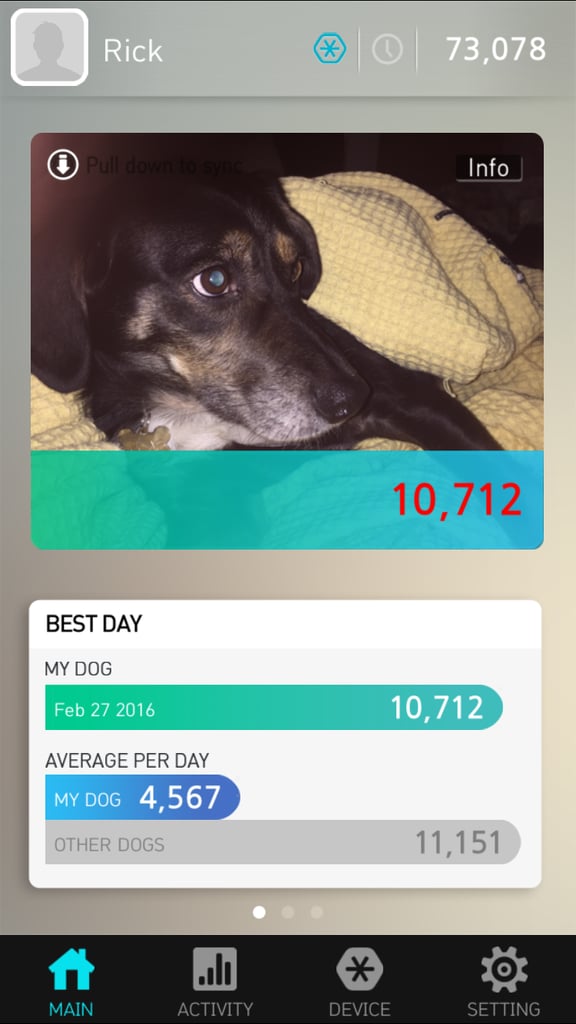 The StarWalk Pet Collar is an excellent value as far as non-GPS fitness trackers go. It sets a goal of 8,000 steps for your dog so you have a baseline of how much activity to aim for, but you can change that to suit your dog. The app tracks your dog's activity as well as calories burned and temperature, which is handy. The adorable little device attaches to your dog's collar easily, but we found that it moved around quite a bit and had a tendency to come off the collar. While the app was easy to use, you had to be in close proximity of the dog to be able to connect with the device, and we wish it somehow had alerts you could activate to remind you to walk your dog. And while the lights on the device are intended as activity monitors, they sometimes went off at what appeared to be random times, including during the night.