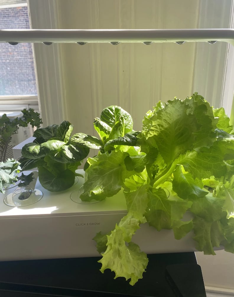 A Garden Kit