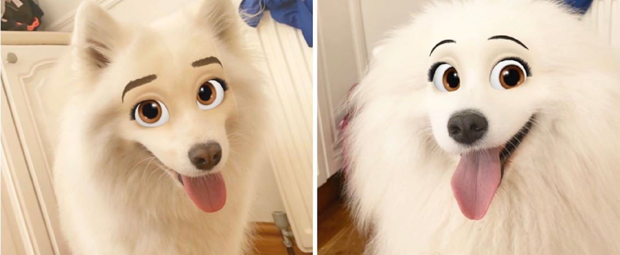 Snapchat Filter That Turns Pets Into Disney Characters | POPSUGAR Pets