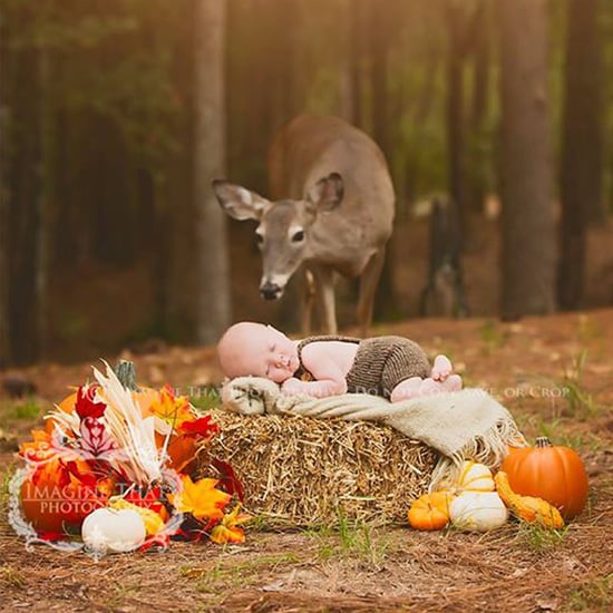 Deer Photobombs Newborn's First Photo Shoot