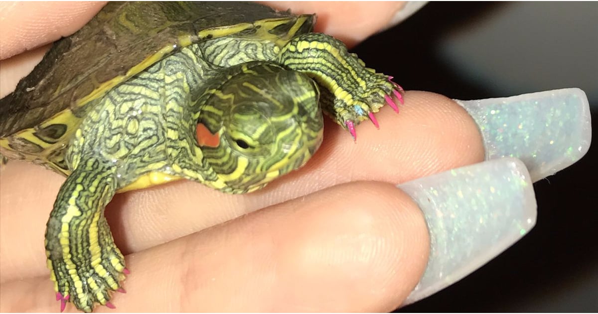 Αποτέλεσμα εικόνας για yagirlkeyy τθρτλε