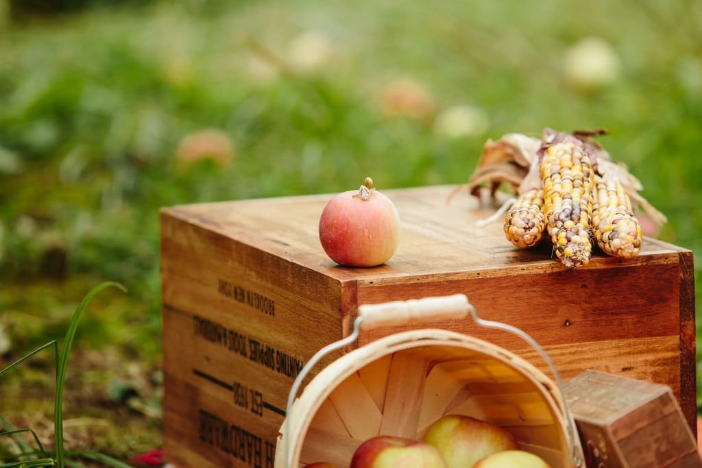 Apple Orchard Engagement Shoot