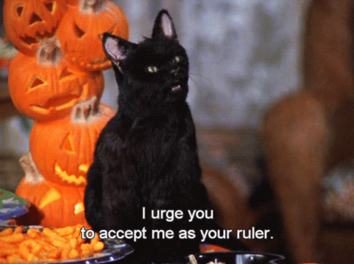 Sabrina, the Teenage Witch Salem GIFs | PS Entertainment