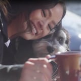 Jamie Chung's Dog, Ewok | Video