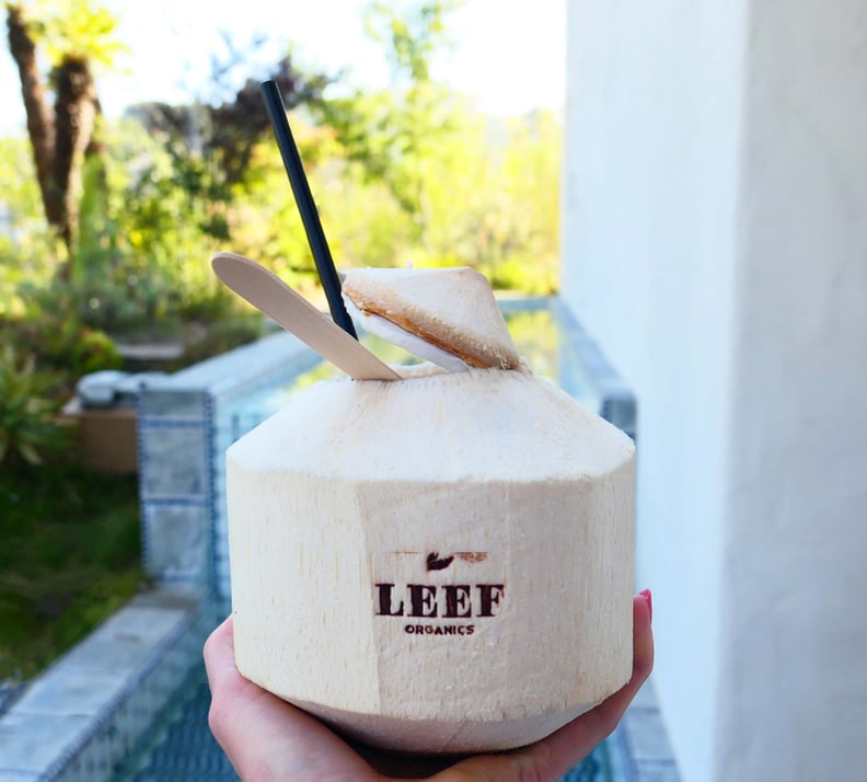 LEEF Organics DIY CBD Coconut Water