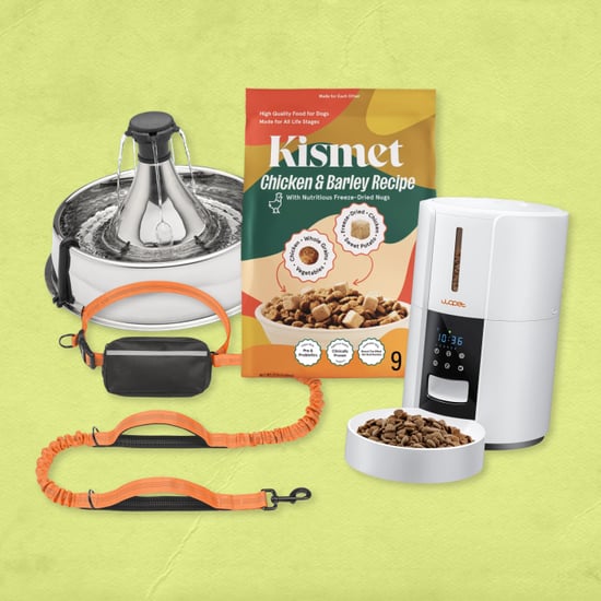 Best Products For Pet Owners