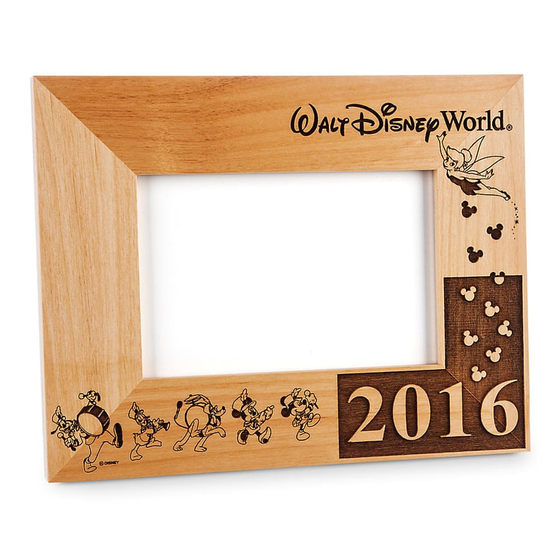 Disney Walt World 2016 Frame