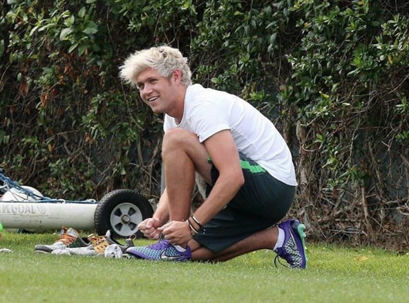 Niall Horan's Platinum Blond Hair | Spring 2016