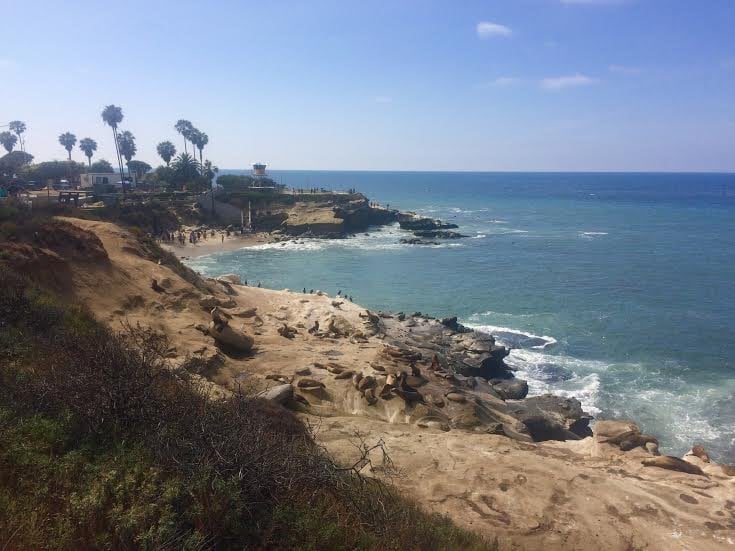 La Jolla Cove