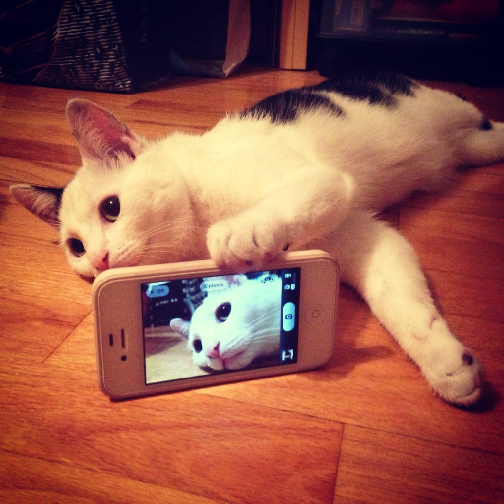 #Selfie. 
Source: Reddit user Hue__Jass via Imgur