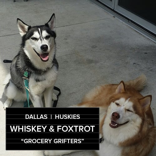 Whiskey and Foxtrot