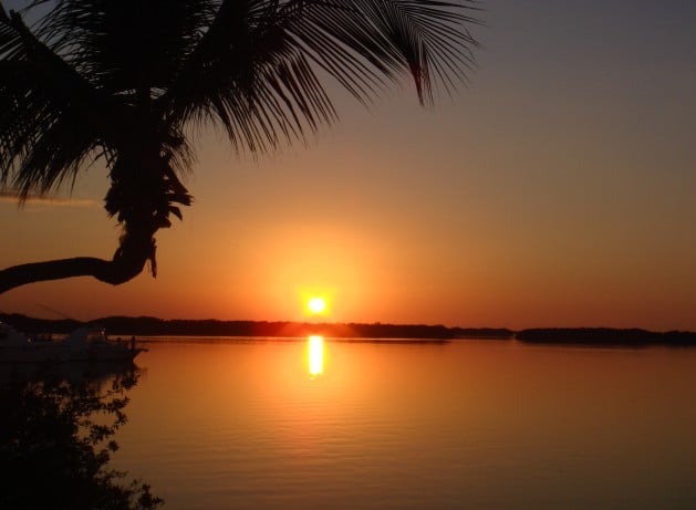 Pierre’s (Islamorada, FL)