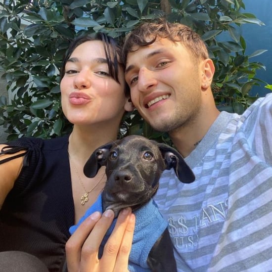 Do Anwar Hadid and Dua Lipa Have a Puppy?