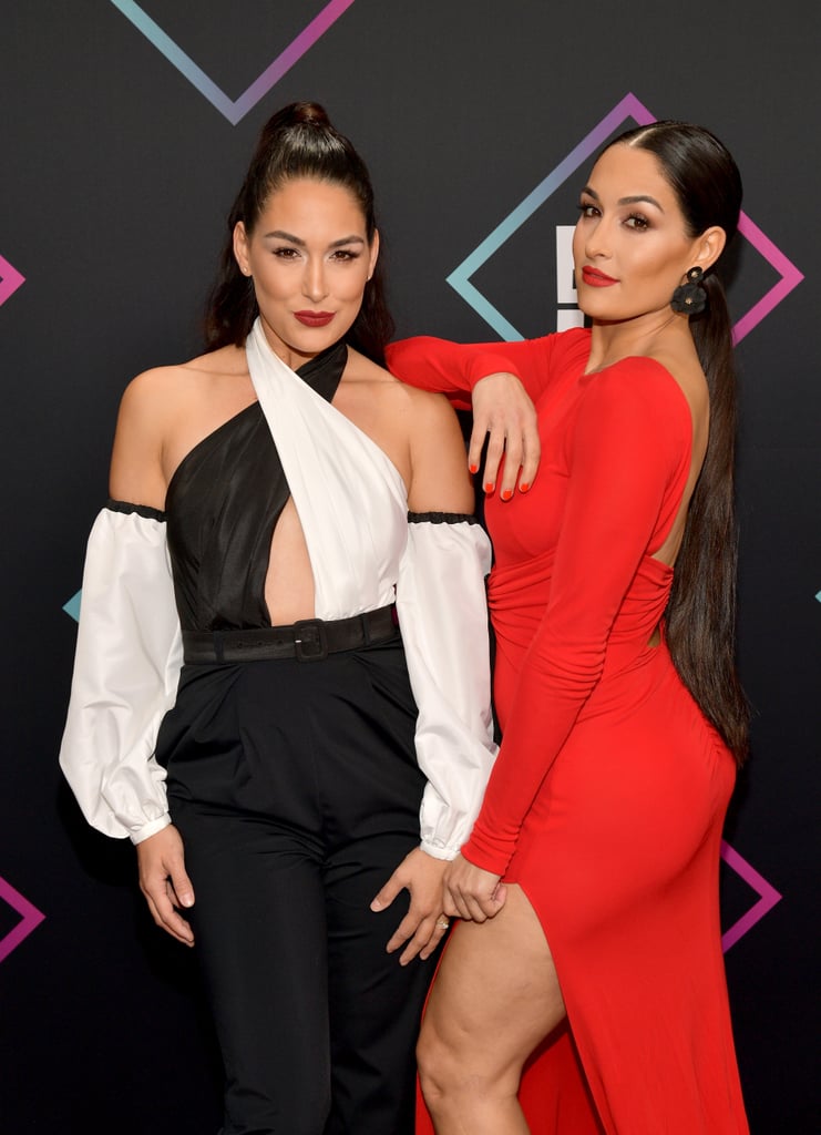 Pictured: Brie and Nikki Bella