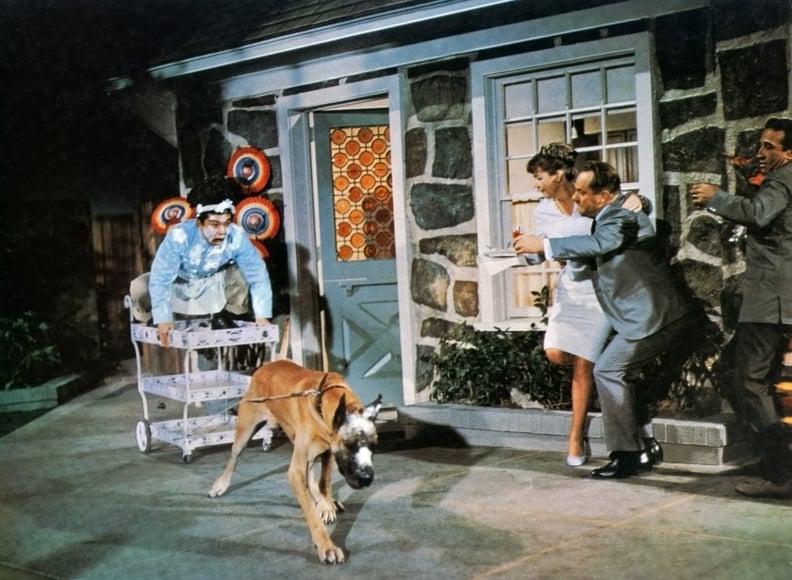 The Ugly Dachshund (1966)