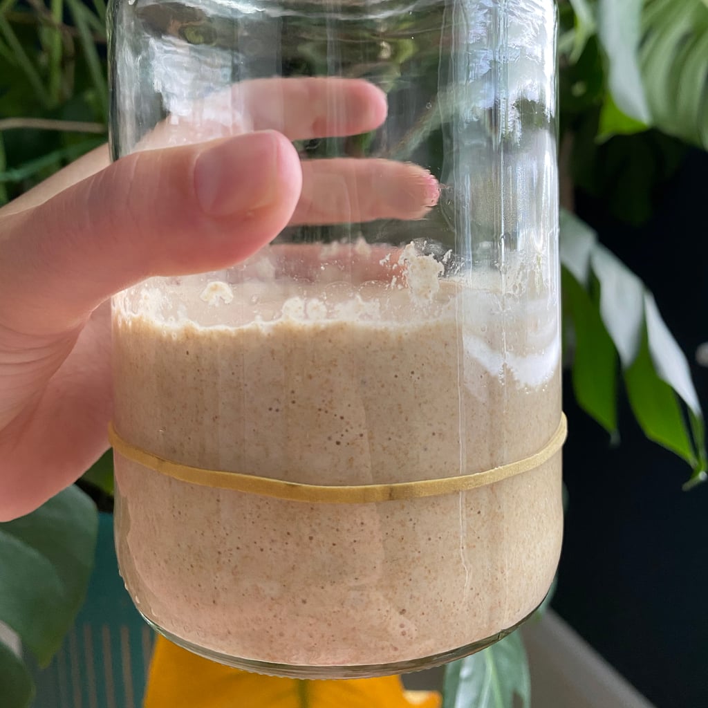 Sourdough Starter Day By Day Photos Popsugar Food