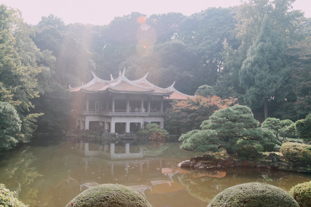 Shinjuku Gyoen National Garden Shinjuku Gyoen National Garden