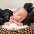 This Newborn Baby Photo Shoot Featuring 9 Puppies Is Going to Ruin You