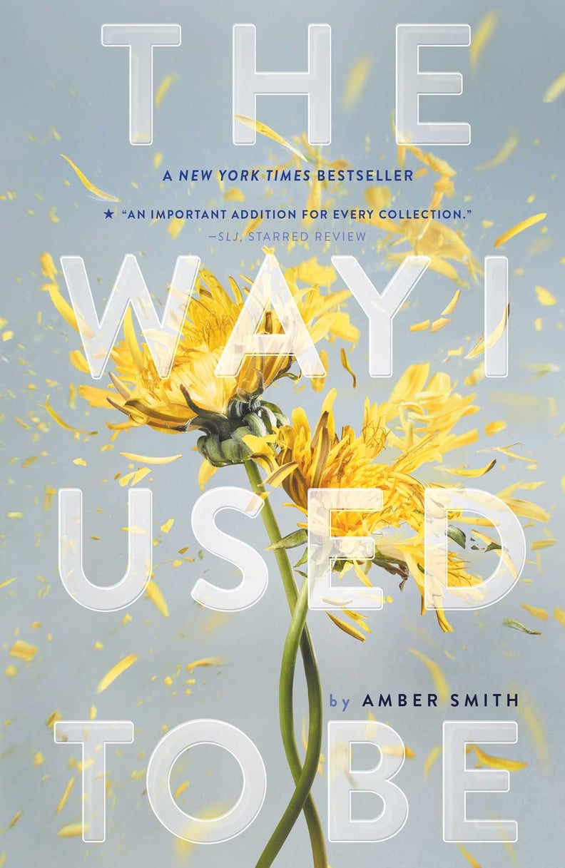 The Way I Used to Be by Amber Smith