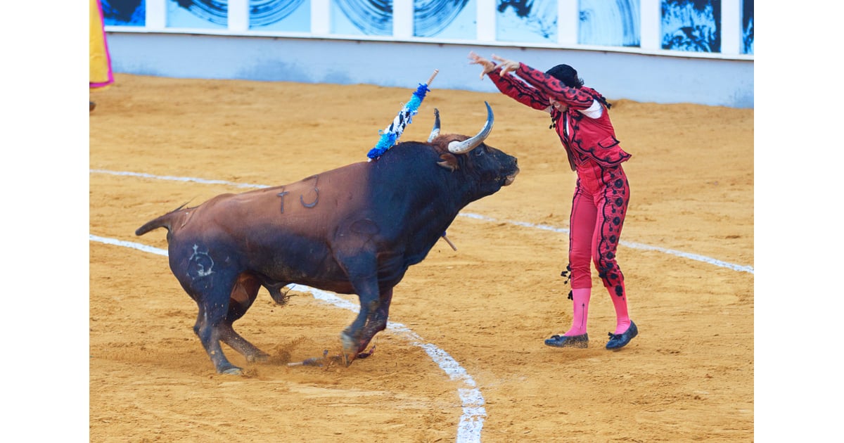Bulls Get Angry At The Sight Of Red Commonly Known Facts That Are