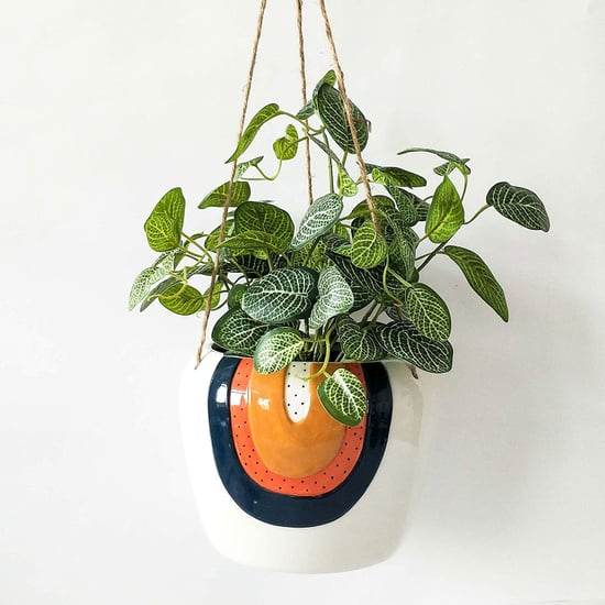 Best Hanging Planters on Amazon 2022