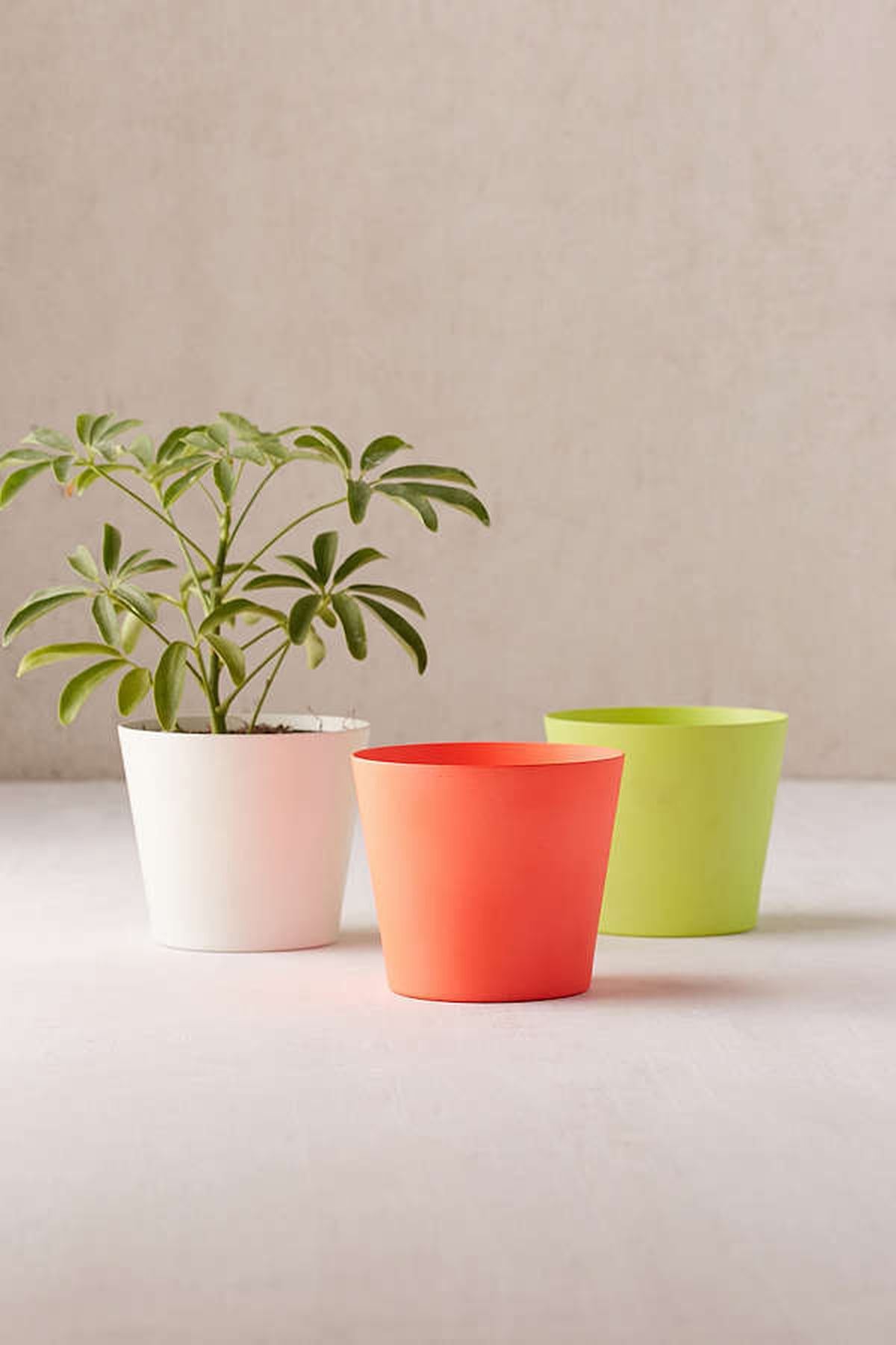 Cute Desk Planters POPSUGAR Smart Living