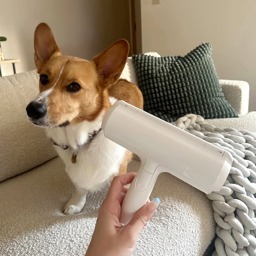 Chom Chom Roller Pet Hair Remover Review POPSUGAR Pets