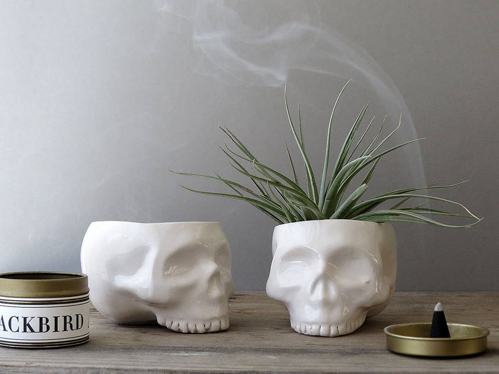 You can never go wrong with sleek ceramic decor like these white skull planters ($32 each).