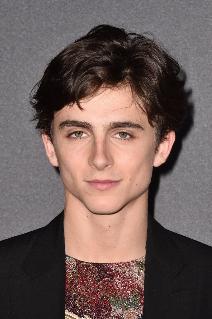 When I perish, I would prefer the cause of my death to be impalement by Timothée's jawline.