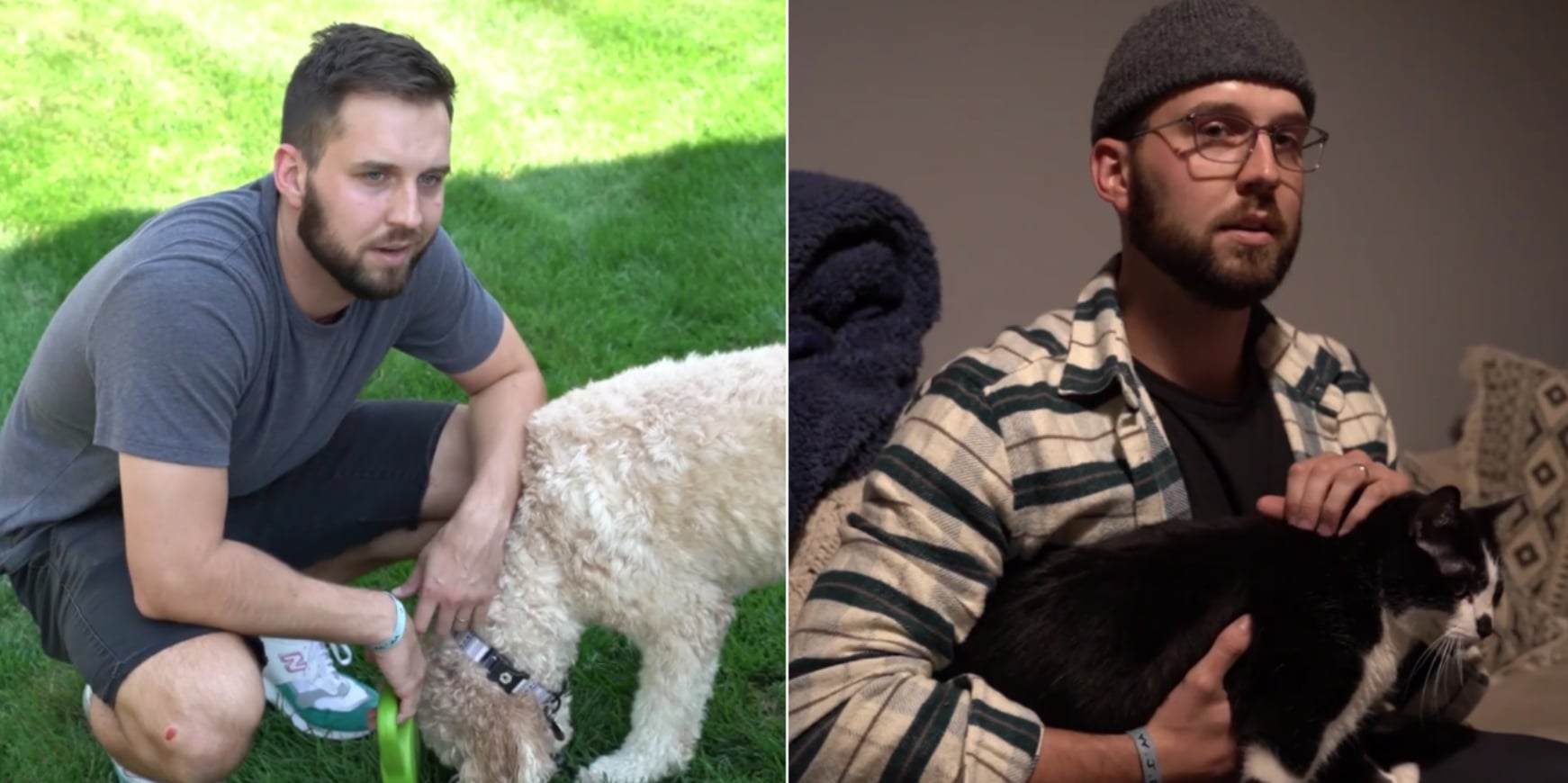 Funny Video Comparing Cat and Dog Owners POPSUGAR Pets