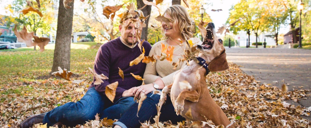 Dog Photobombs Engagement Photo Shoot by Playing in Leaves