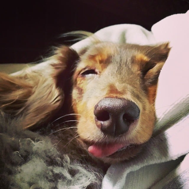 Out Cold