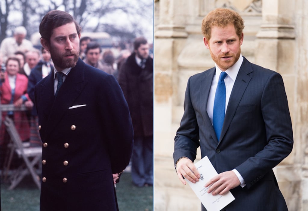 Prince Harry and Prince Charles Lookalike Beard Photos
