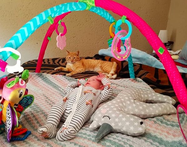 At least he waits his turn!
