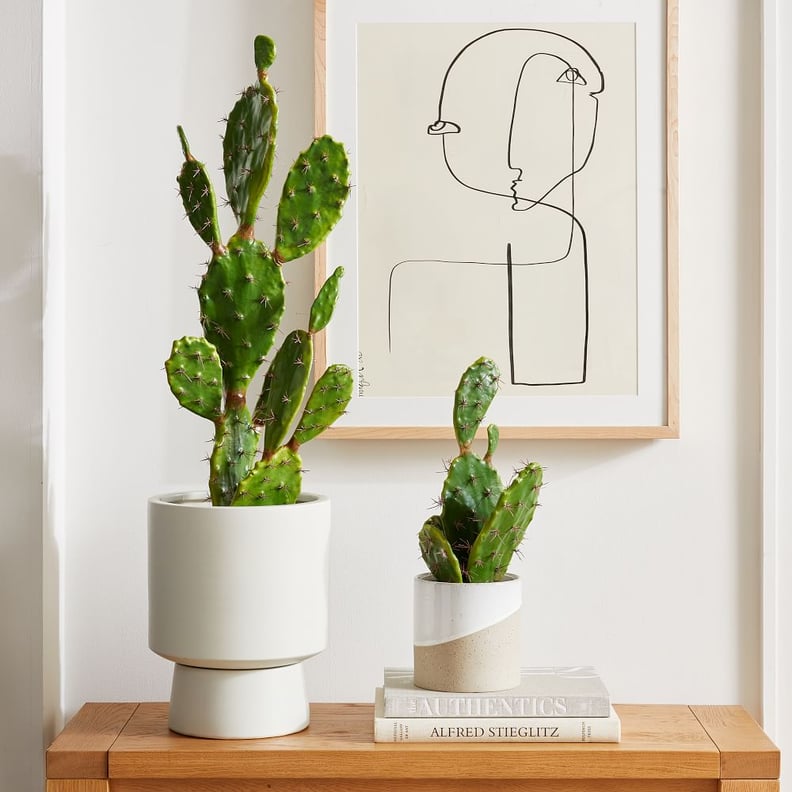 Faux Potted Flat Cacti