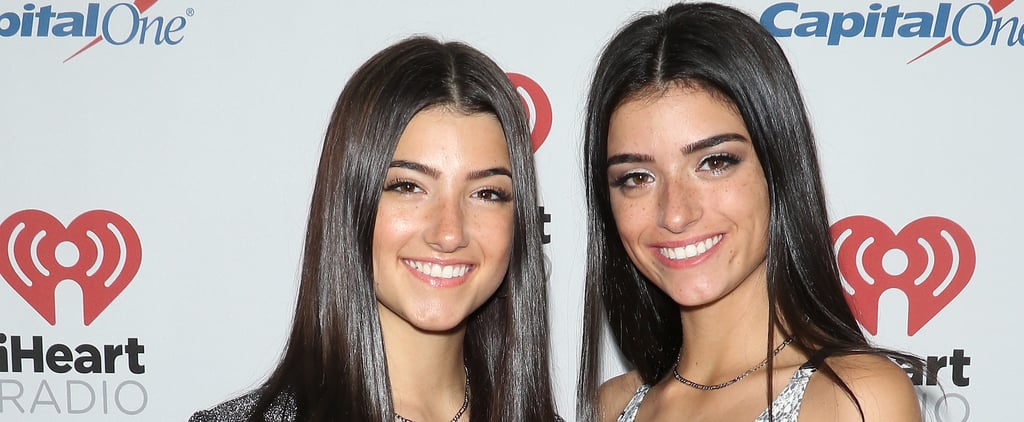 The D'Amelios Are Getting Their Own Show on Hulu, and WOW, Is This Exciting, Y'all
