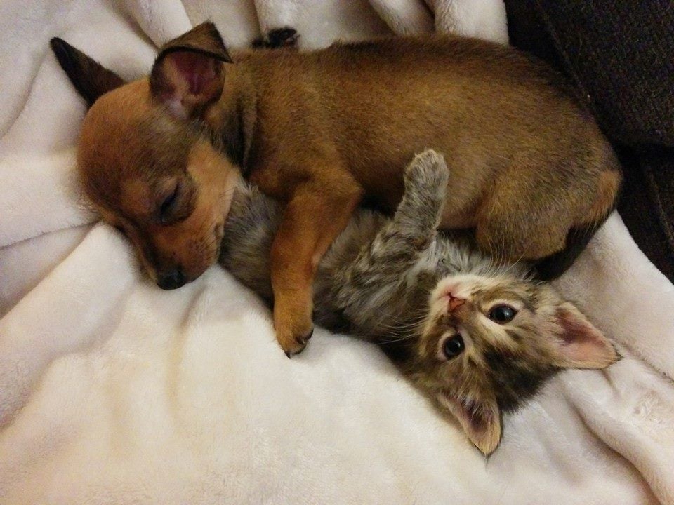 "Do not disturb."