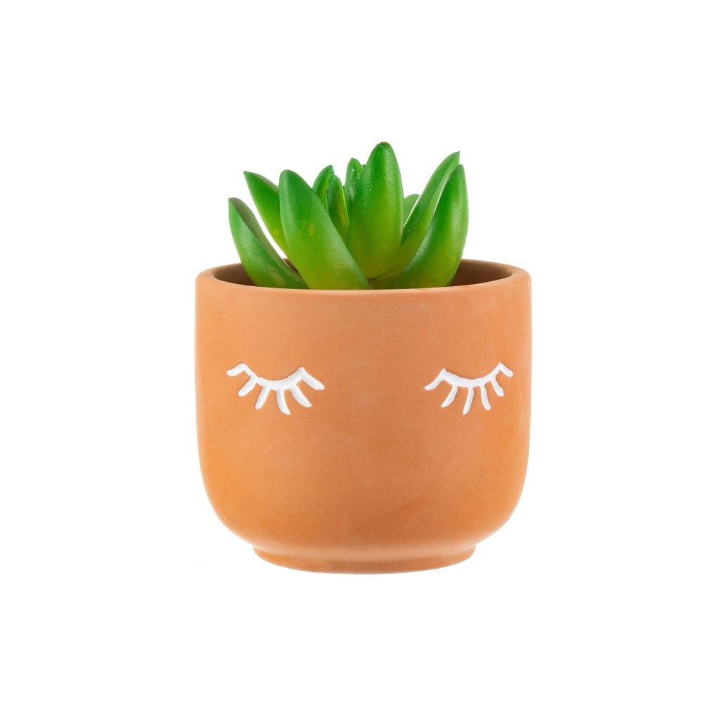 Five and Dime Mini Eyes Shut Terracotta Planter