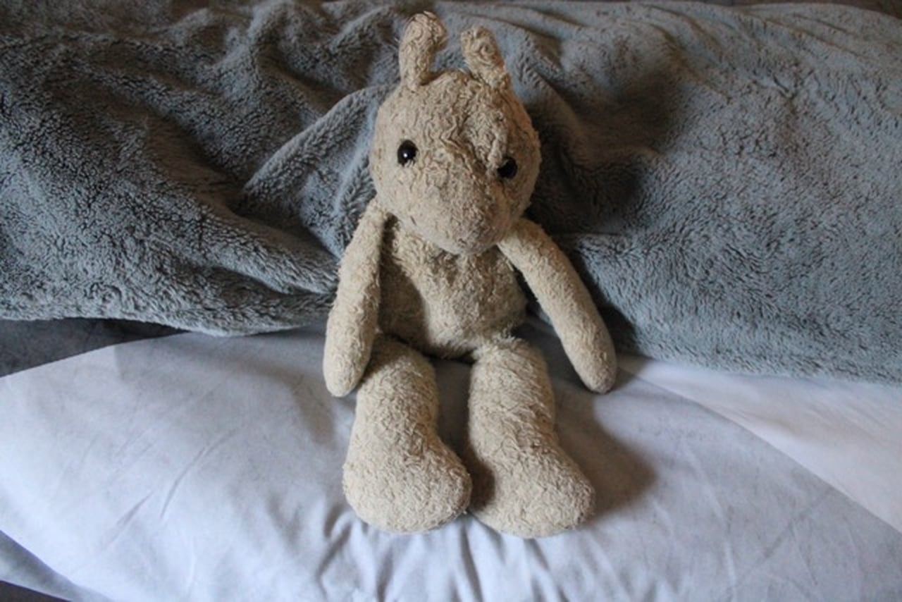 Kids Who Are Attached to Their Stuffed Animals POPSUGAR Family