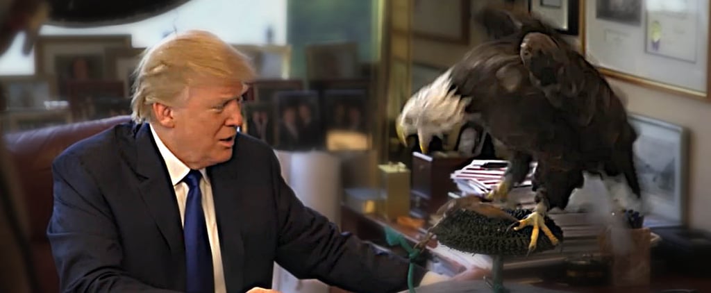 Bald Eagle Attacks Donald Trump