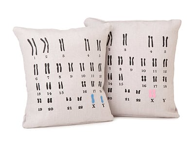 Chromosome Pillow Set