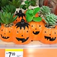 Beware: These Adorable Halloween Succulent Planters Might Magically Empty Your Wallet