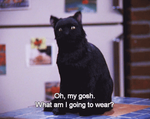 Sabrina, the Teenage Witch Salem GIFs | PS Entertainment