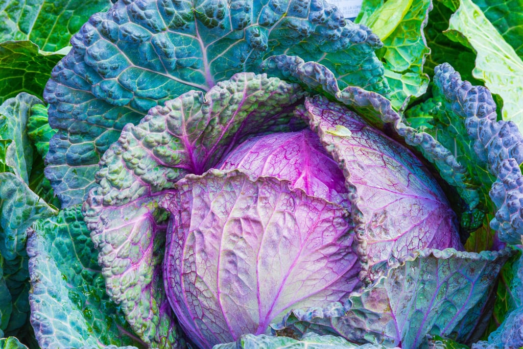 OK to Eat Conventional: Cabbage