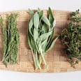 These Super Herbs Fight Stress, Give You Energy, and Promote Weight Loss