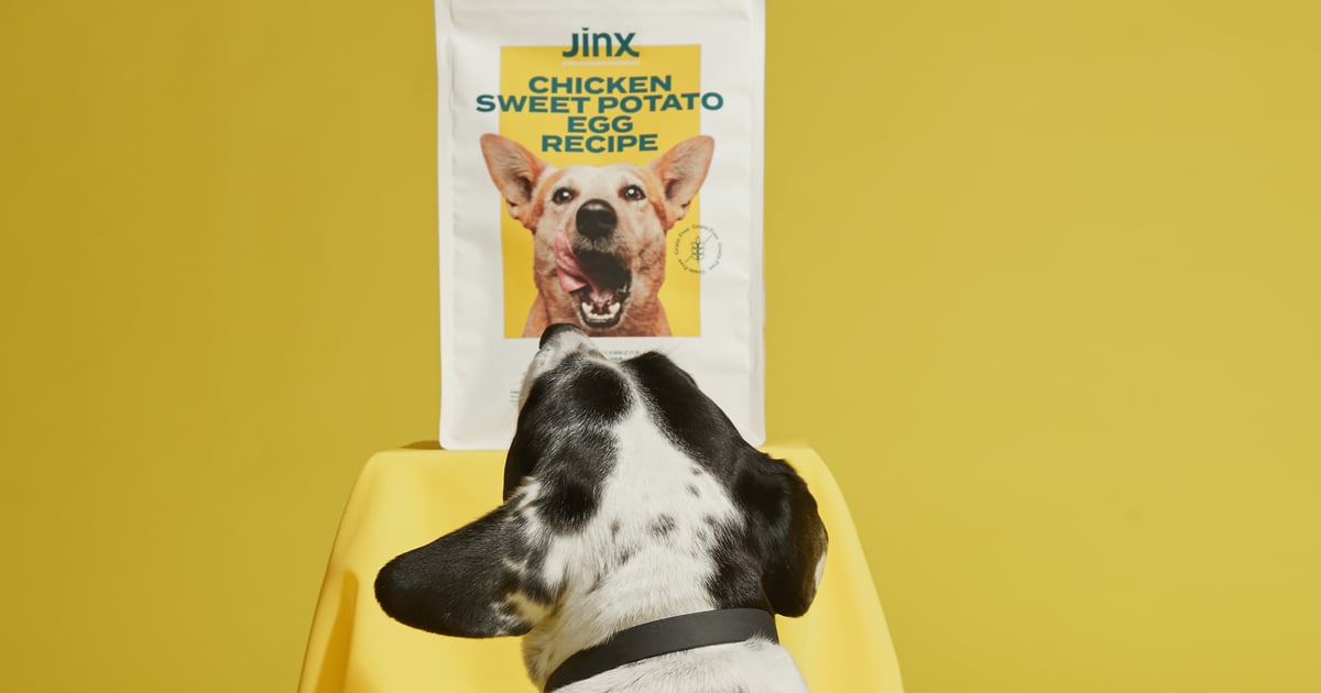 Jinx dog shop food