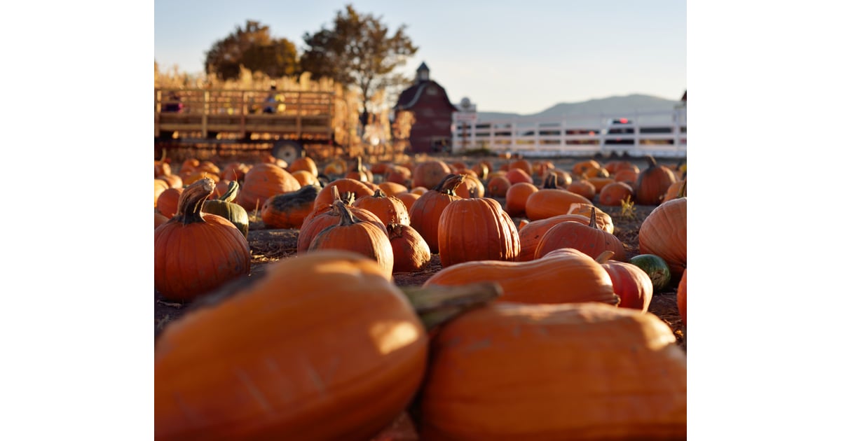 Take A Haunted Hayride 25 Of The Best Things To Do During Fall Popsugar Smart Living Photo 11